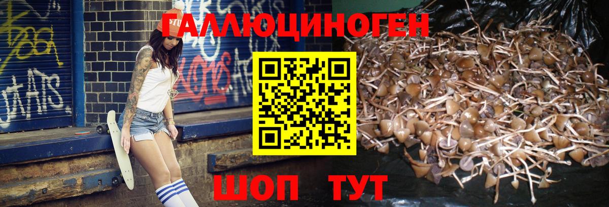 Галлюциногенные грибы GOLDEN TEACHER Сыктывкар